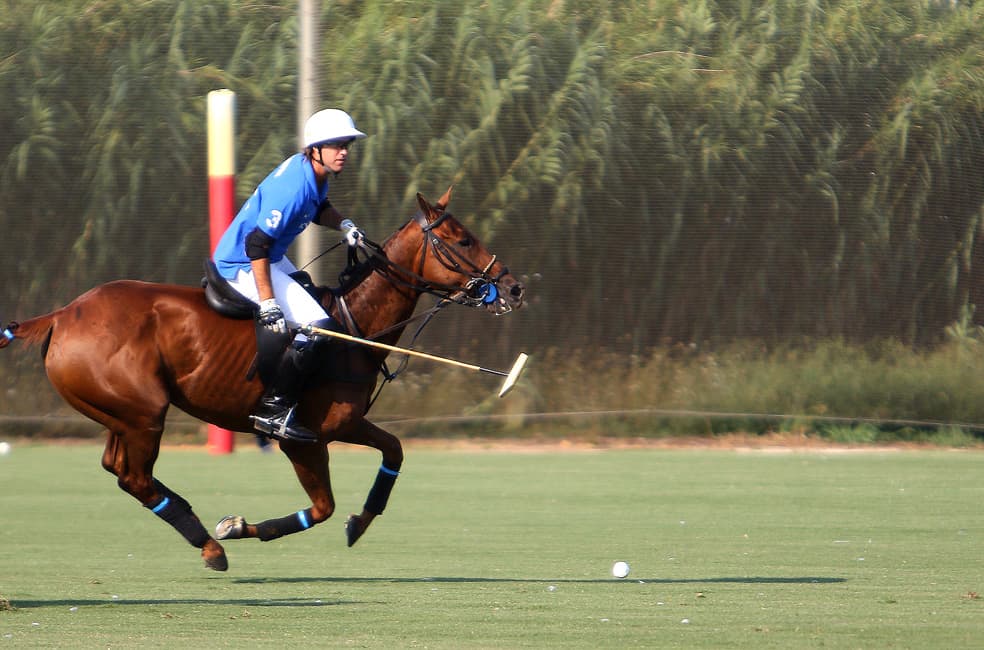 Pieres Power in the form of two Piaget Ambassadors play for the Cote d’Azur Polo Cup in St Tropez